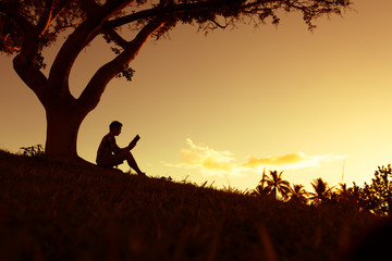 复眼的昆虫有哪些