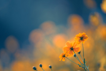 在赤道正上方的同步卫星距离地球中心的高度都相等吗？