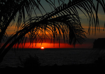 宝马保养用什么机油发动机不会出现抖动呢？