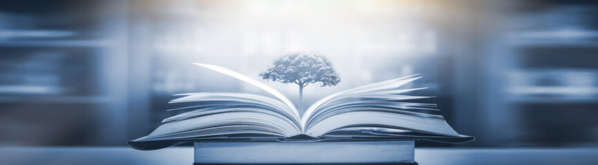 夏威夷的特色介绍