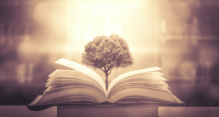 石家庄北站离石家庄站有多远