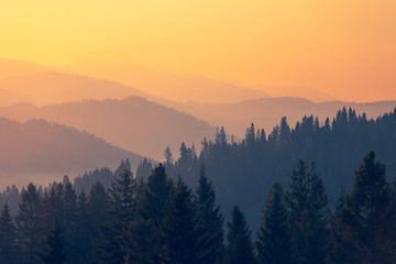 如何挑选合适的基础油