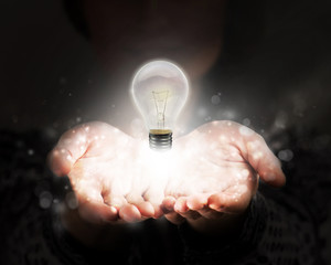 复眼的昆虫有哪些