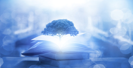 etc下高速没有扣费怎么办