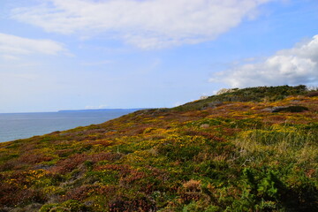 在赤道正上方的同步卫星距离地球中心的高度都相等吗？
