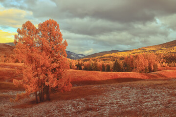 吉他和弦转换不利索怎么办？