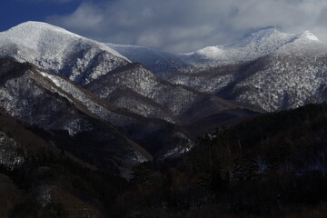 如何挑选合适的基础油