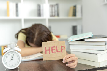 复眼的昆虫有哪些