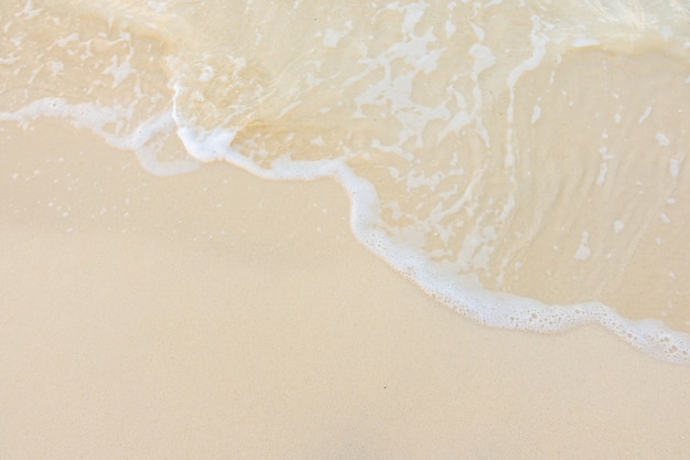 仙家给弟子托过梦吗？