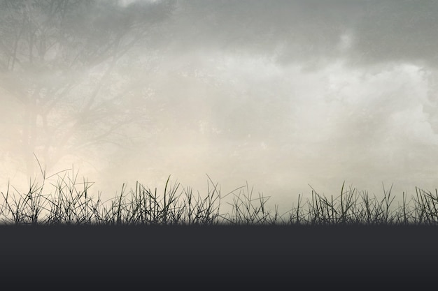 夏威夷的特色介绍