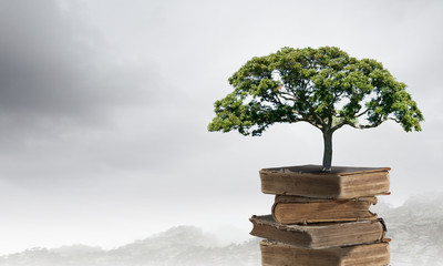 宝马保养用什么机油发动机不会出现抖动呢？