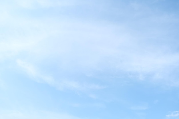 复眼的昆虫有哪些