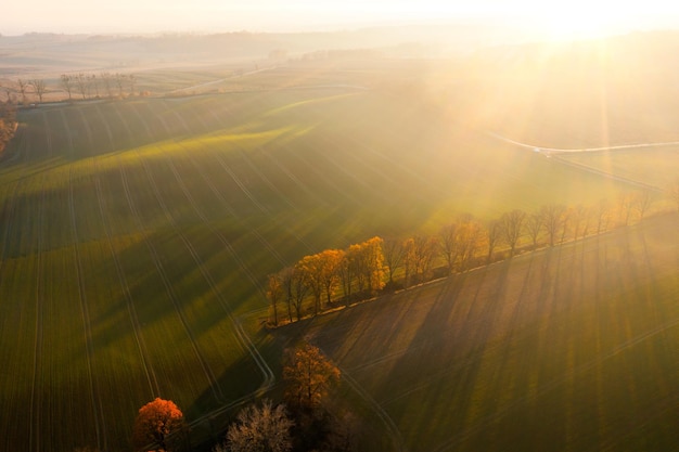 宝马保养用什么机油发动机不会出现抖动呢？