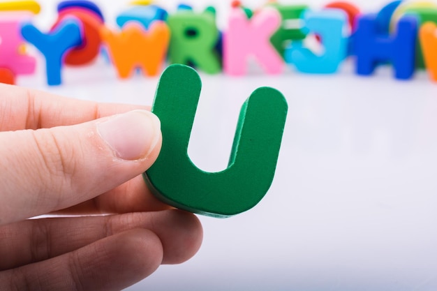 复眼的昆虫有哪些